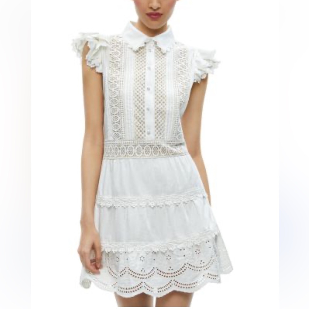 Alice + Olivia Meeko Embroidered Ruffle Sleeve Dress - Picture 2 of 8